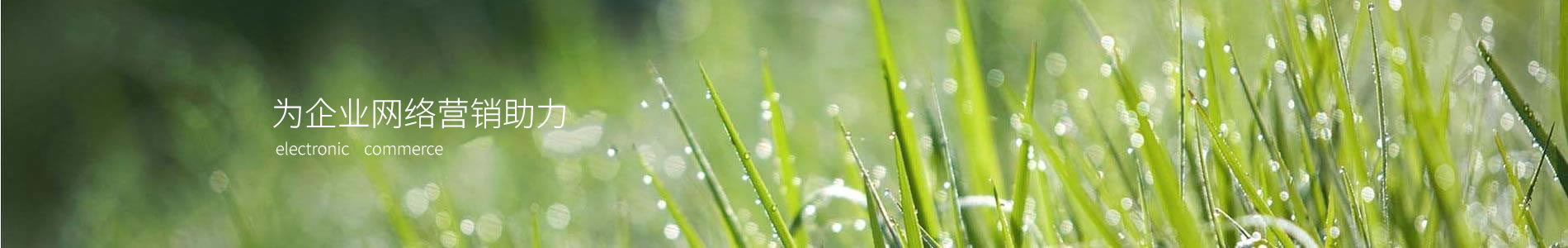 ԭʥ޹˾